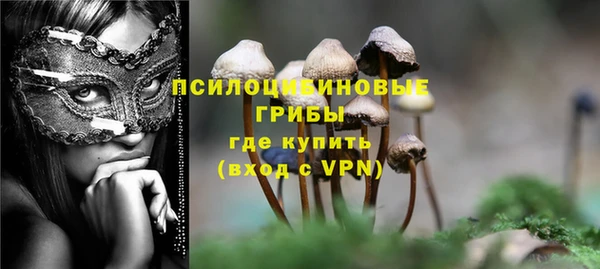 тгк Алексеевка