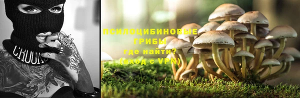 СК Абинск