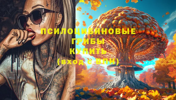 меф Алексин