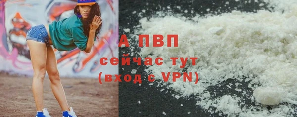 СК Абинск